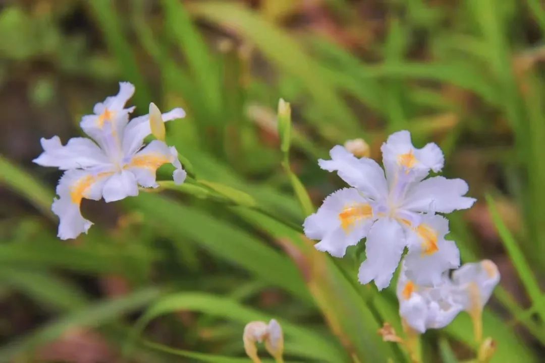 pa����|�й�Ψһ�ٷ���վ