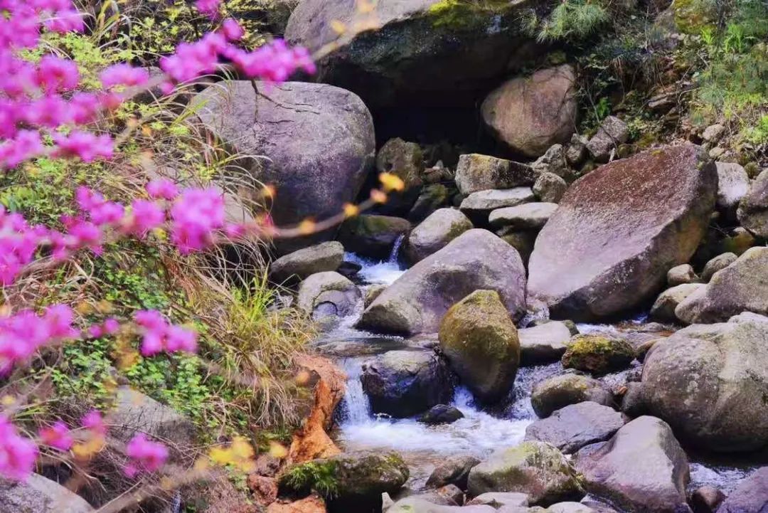 pa����|�й�Ψһ�ٷ���վ